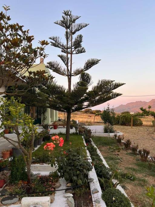 Borgo Majoca - Μονοκατοικία Σε Κυκλαδίτικο Νησί Mési Exterior foto